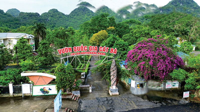 Vườn quốc gia Cát Bà là điểm đến lý tưởng cho trekking và khám phá rừng nguyên sinh. 