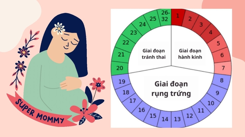 Rụng trứng muộn hoặc chu kỳ kinh không đều có thể khiến tuổi thai thực tế nhỏ hơn so với dự đoán.