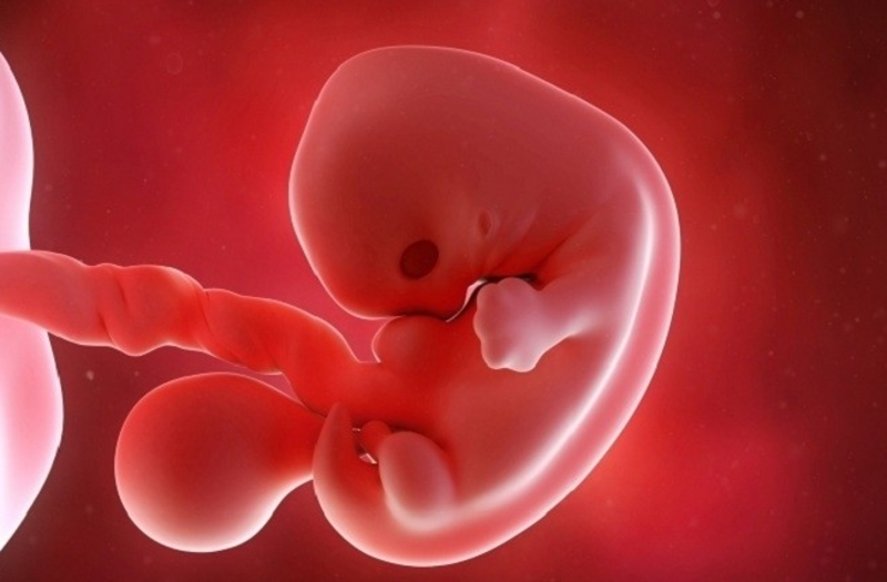 Túi thai phát triển nhưng chưa có tim thai cần được theo dõi thêm dựa trên kích thước phôi và lịch siêu âm lại.