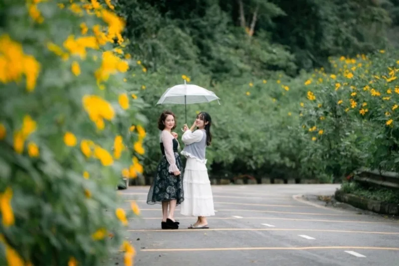 Ba Vì đẹp quanh năm, từ mùa hè tránh nóng đến mùa hoa dã quỳ cuối thu và những ngày se lạnh hợp săn mây.