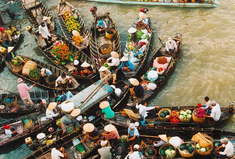 Trải nghiệm đi ghe chèo ngắm cây bẹo và đón bình minh trên chợ nổi Cái Răng Cần Thơ từ sớm.