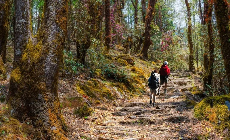 Cung đường trekking hiểm trở nhưng đầy mê hoặc tại khu vực Vườn quốc gia Sagarmatha.